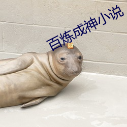 百煉成神小說