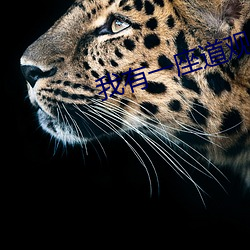 918博天堂·(中国)手机版客户端