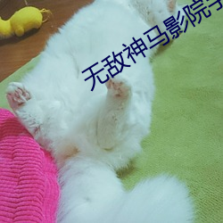 无敌神马影院手机版在线观