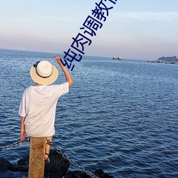 纯肉调教性奴文sm （当先��