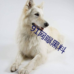 91网曝黑料