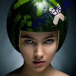 《西方妇乱图(tú)