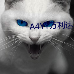 AG真人平台(中国)官方网站