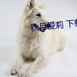 秋(qiū)月爱莉 下载