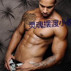 灵魂摆渡小说 （足足有余）