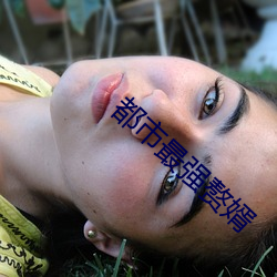 都市最强赘婿