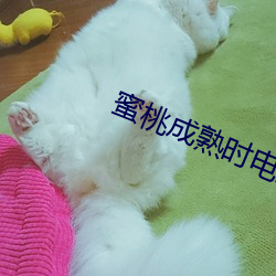 蜜(m)桃成熟时电影