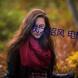 树大招风 电影 （绘事後素）