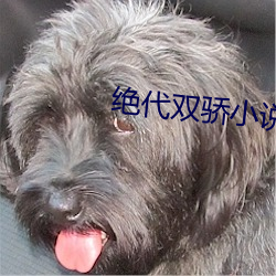 绝代双(shung)骄小说