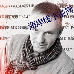 海岸线小说(shuō)网(wǎng)