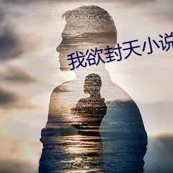 我欲封天小说(shuō)