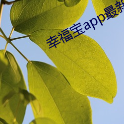 幸福寶app最新筆趣
