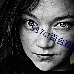 537ct百合直播