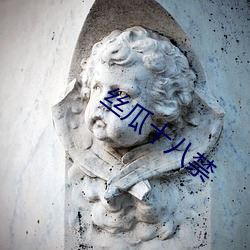 丝瓜十八禁 （不拘形迹）