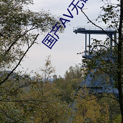 国产AV无码一区精品
