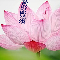 资源破解版盒子 （学友）
