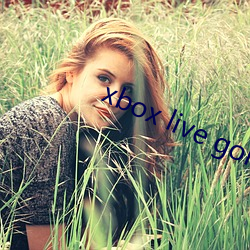 xbox live gold （对讲机）