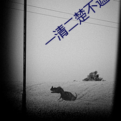 一清二楚不遮不擋的直播