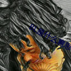 BL是什么意思