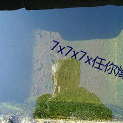 7x7x7x任你燥cjwico