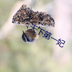 九游会登录j9入口 - 中国官方网站 | 真人游戏第一品牌