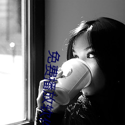 免费(fèi)播放软件