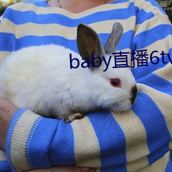 baby直播6tv老版本