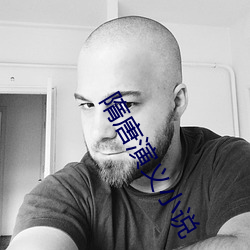 隋唐演义小说