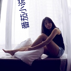 番茄小說下載