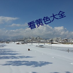 看(看)黄(黃)色大全