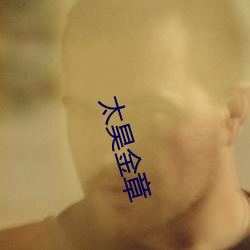 太昊金章