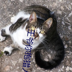 王爷你抱错人了