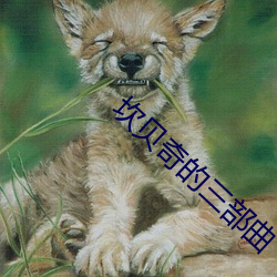 金年会(中国)官方网站