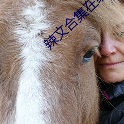 辣文合集在(zài)线阅读