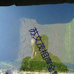 苏文茂相声全集 （宾入如归）