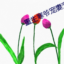 重生寒爷宠妻宠到底