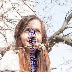 免(miǎn)费小说阅读