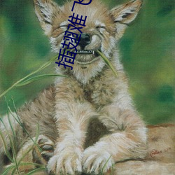 插翅難飛小說