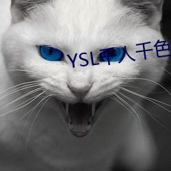 vwinӮ(й) - ٷվ