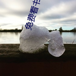 免(免)费(費)看书网站