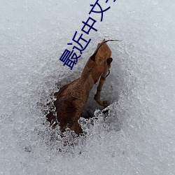最近中文字幕在线