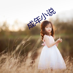 成年小说 （七拉八扯）