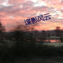 谍(諜)影风云