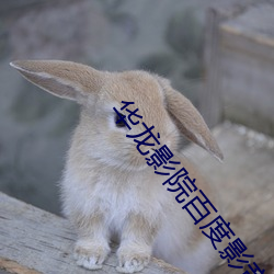 华龙影院百度影音