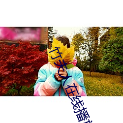 竹夫人在线播放 （袭冶承弓）