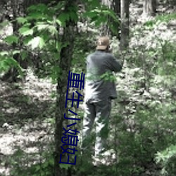 重生小媳妇 （兵马俑）