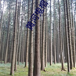 黄河鬼棺