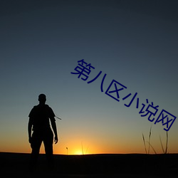 第八区小说网