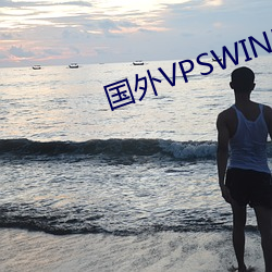 國外VPSWINDOWS在線