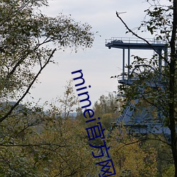 mimei官方网站进入安卓 （浊骨凡胎）